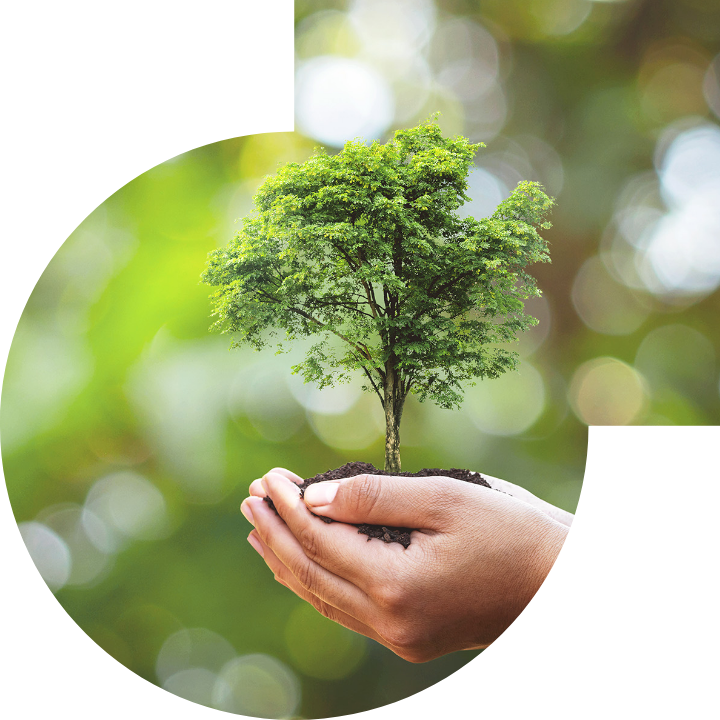 关怀人类、文化、环境与社会